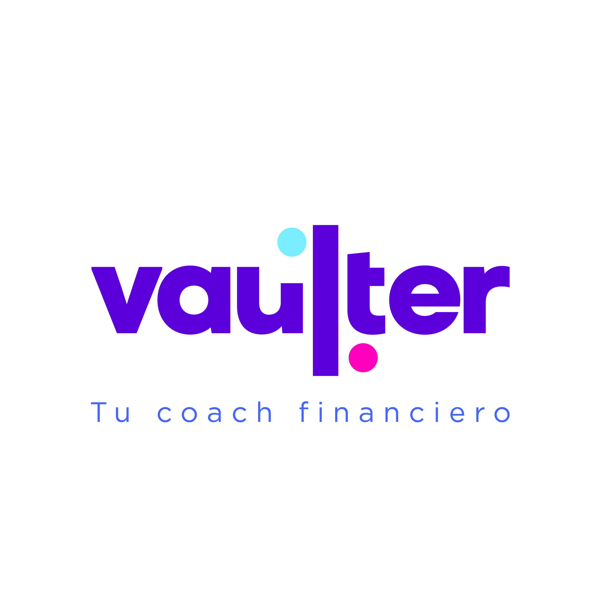 Vaulter Def 02 scaled
